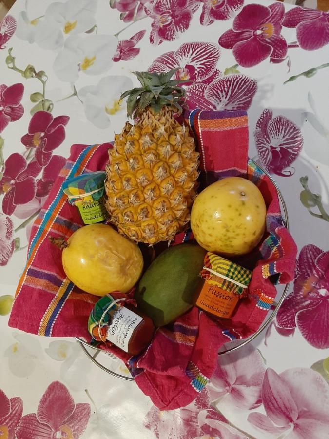 Mango Villa Les Abymes Ngoại thất bức ảnh